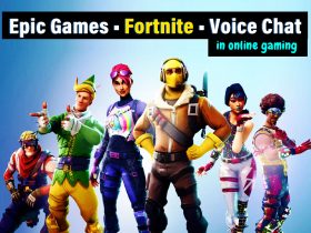 Epic Games • Fortnite • Voice chat in online gaming